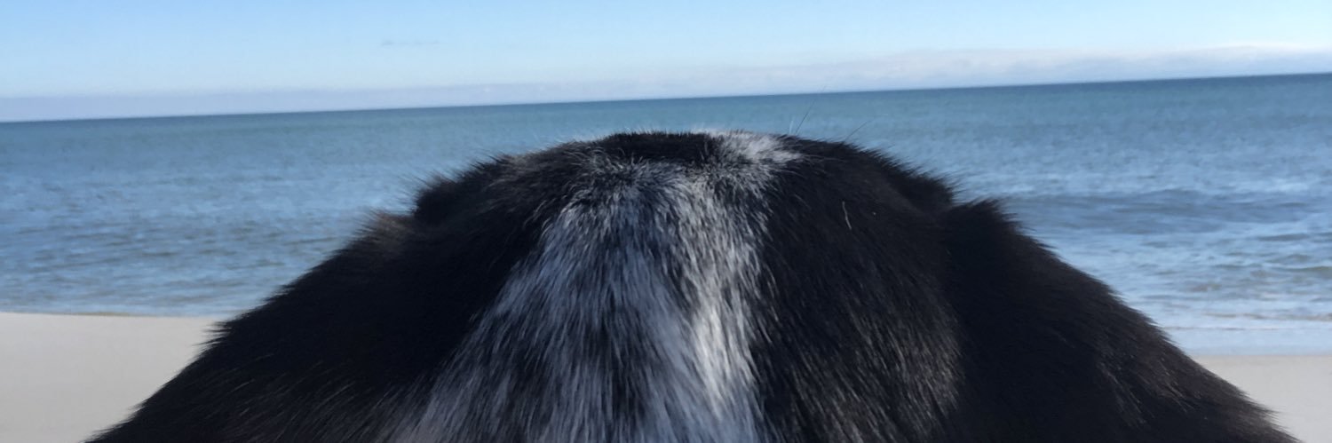 Jenn Perez (Bates) banner