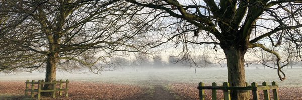 Jade_Rolph Profile Banner