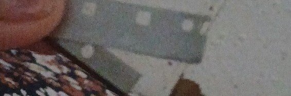 breefdtr's profile banner image