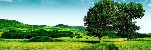 rissadee12 Profile Banner