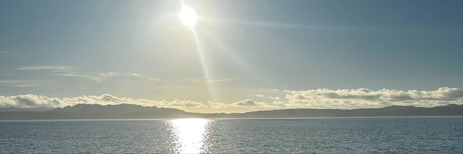 donkidesuyo's profile banner image