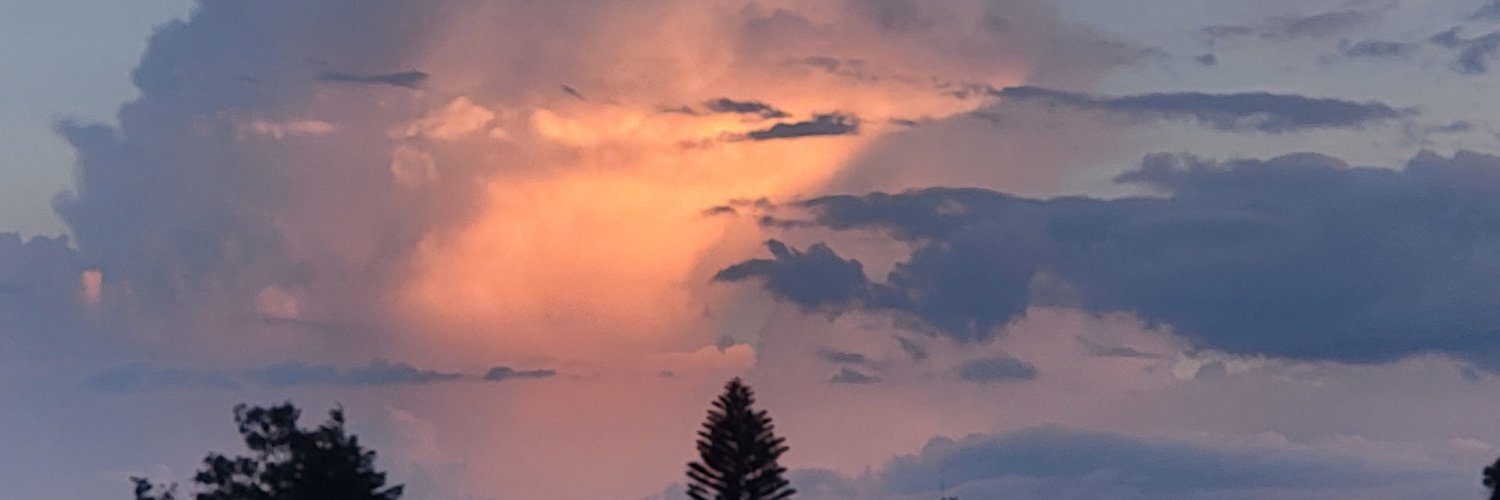 Pippasinclare's profile banner image