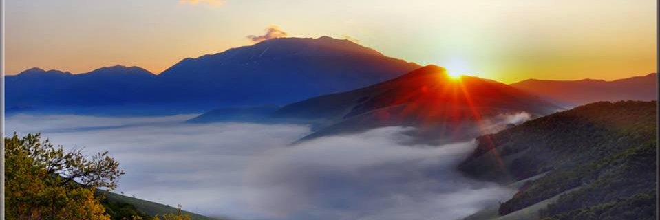 Prbudd's profile banner image