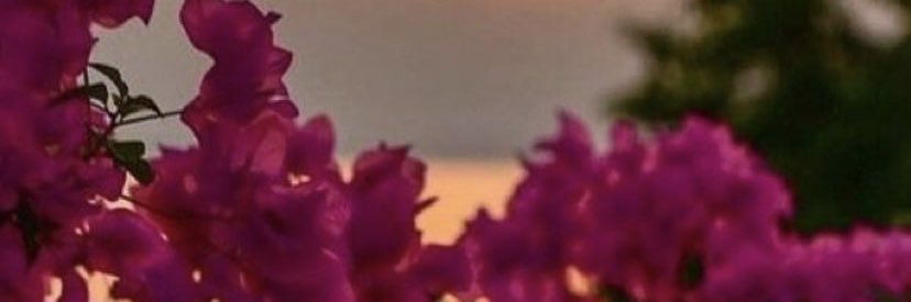 LeidysFuentesR4's profile banner image