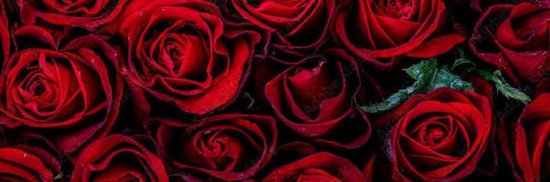 jademitchellxoo's profile banner image