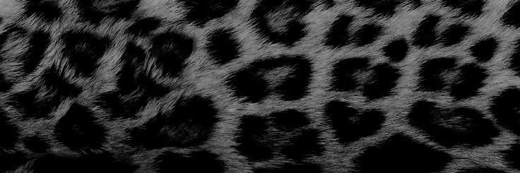mary____707's profile banner image