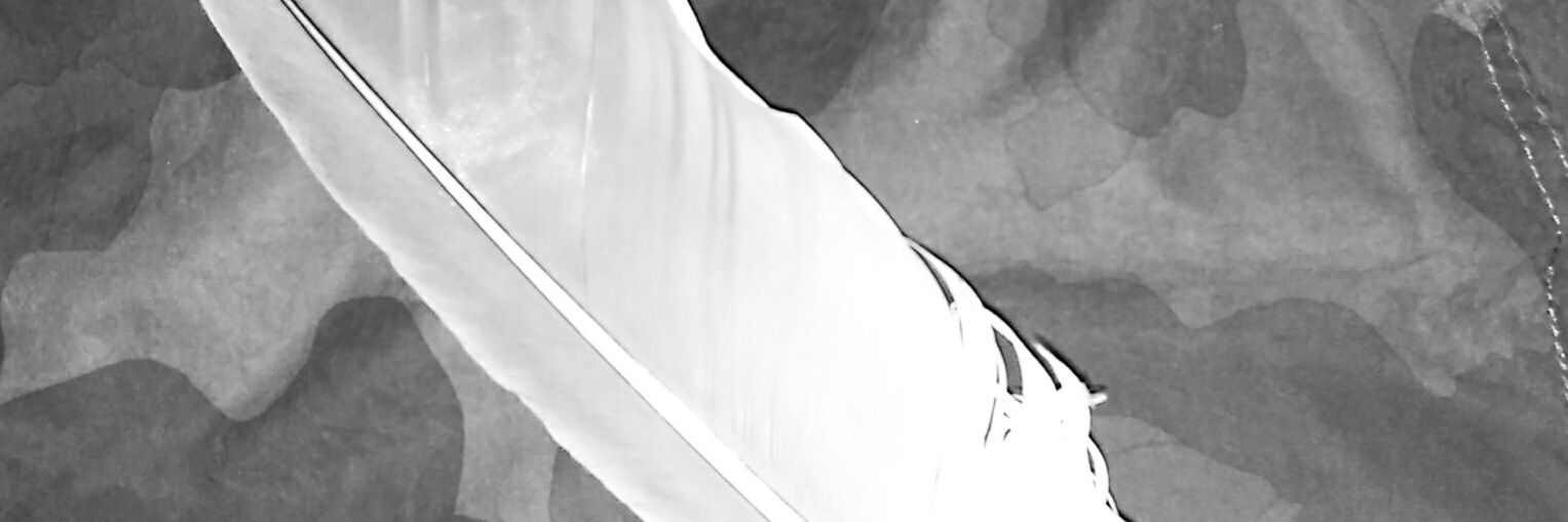 isabelaalgo's profile banner image