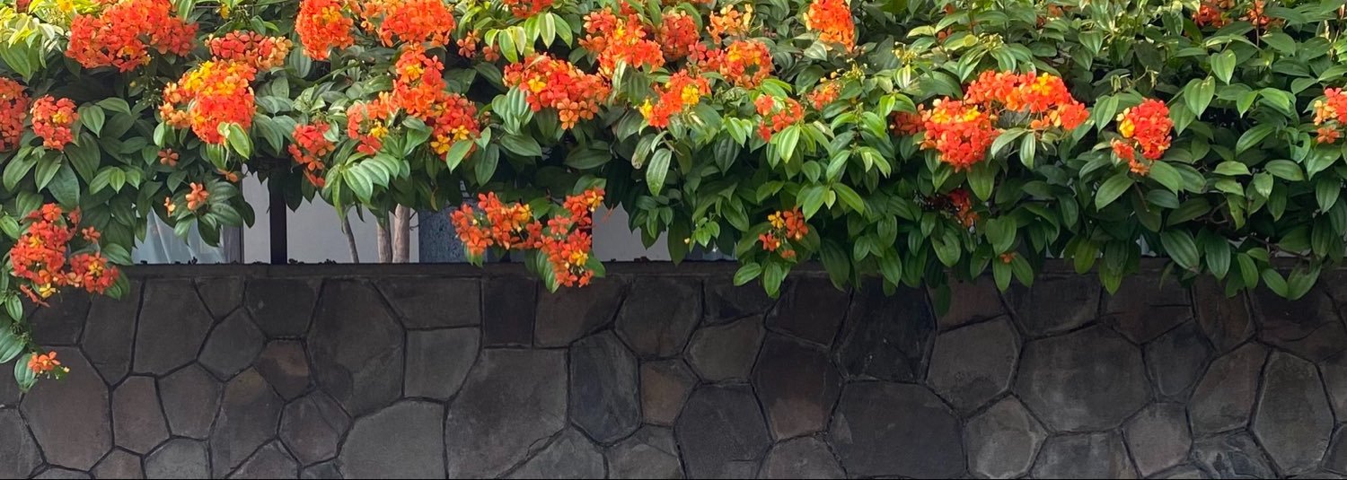 look_niace's profile banner image