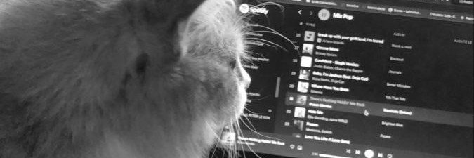 mwintain's profile banner image