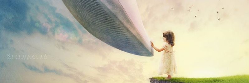 bruceleemsi's profile banner image
