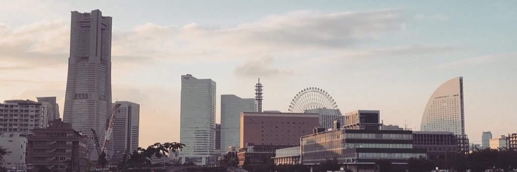 crazykatlady8's profile banner image
