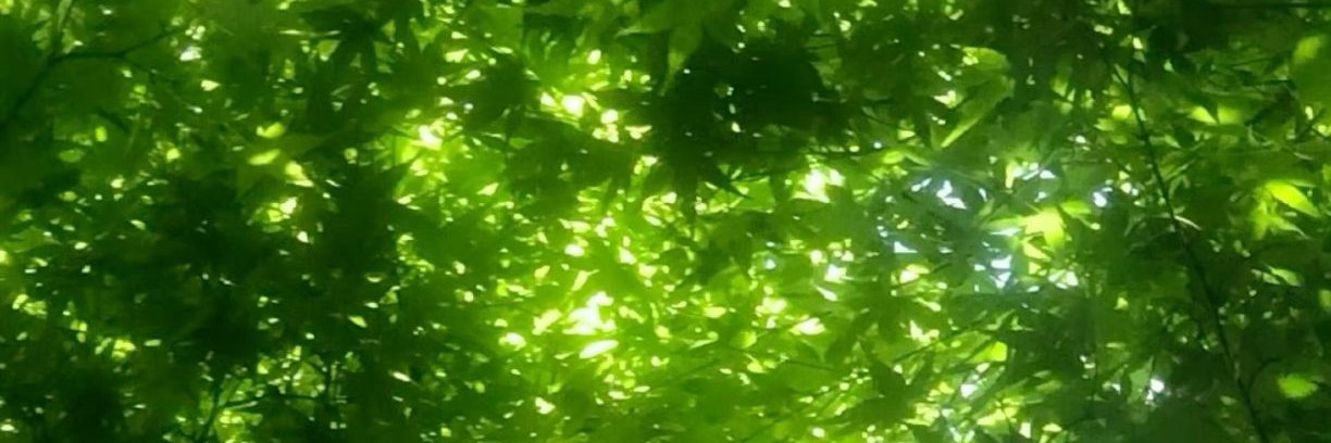 christjLChBeppW's profile banner image