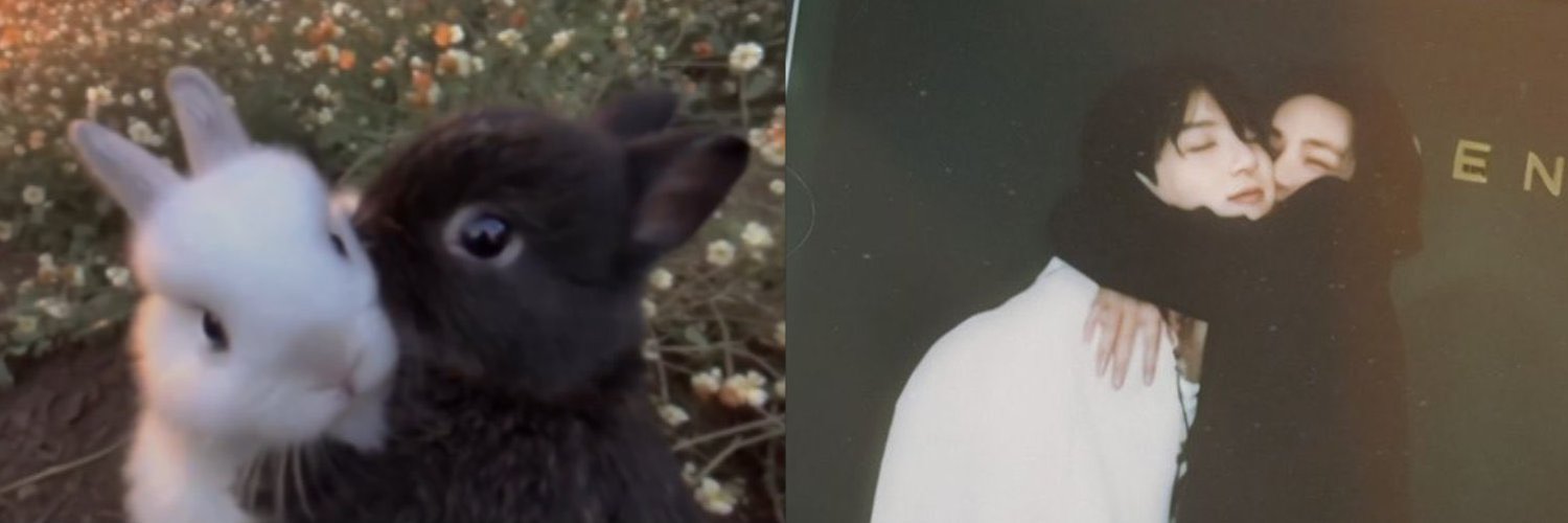 veidaamy's profile banner image
