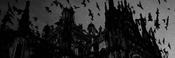 Selenegothic's profile banner image