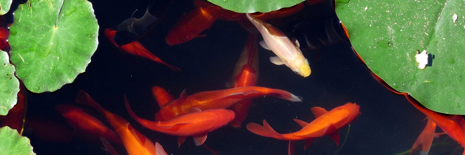 Invasive Species BC banner