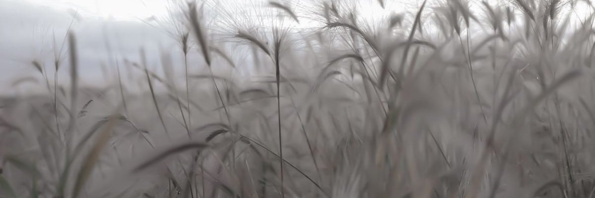 sc0t0ma's profile banner image