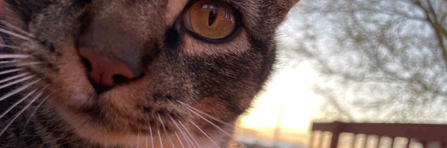 kellythemaw's profile banner image