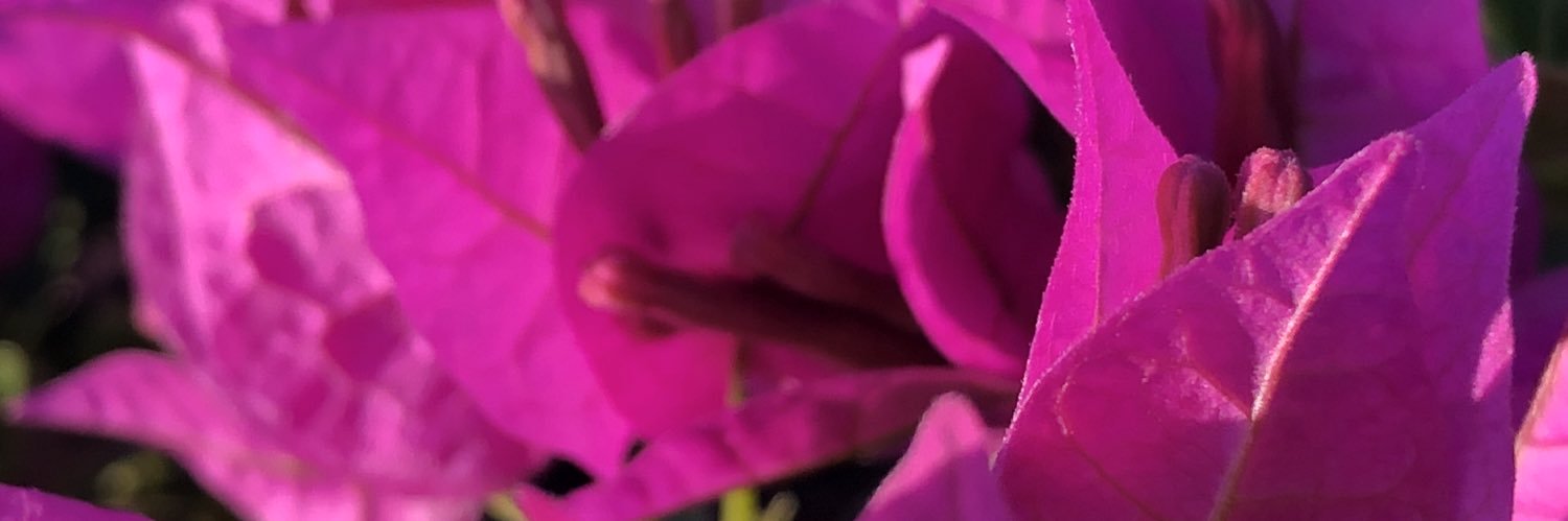 luvalabo's profile banner image