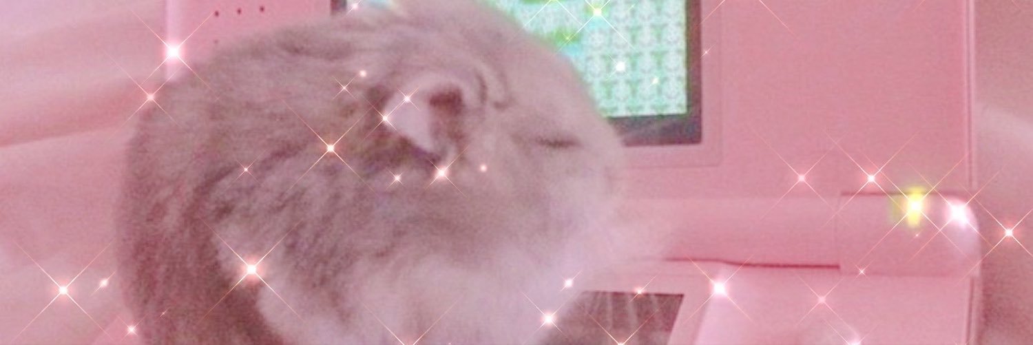 strawbibun's profile banner image