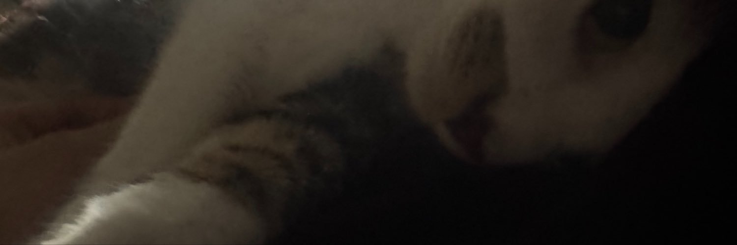 vulvasaurus30's profile banner image