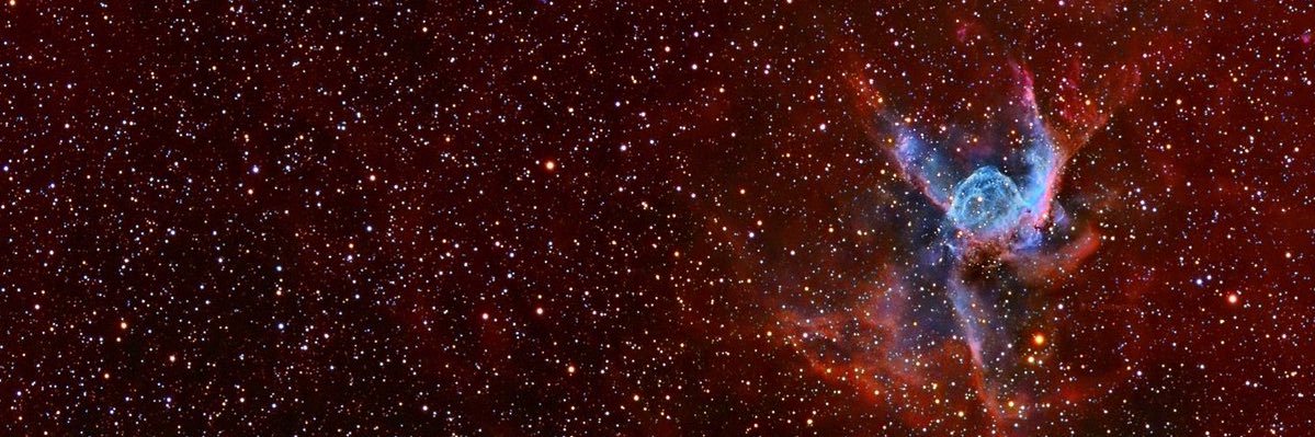 2Xelus's profile banner image