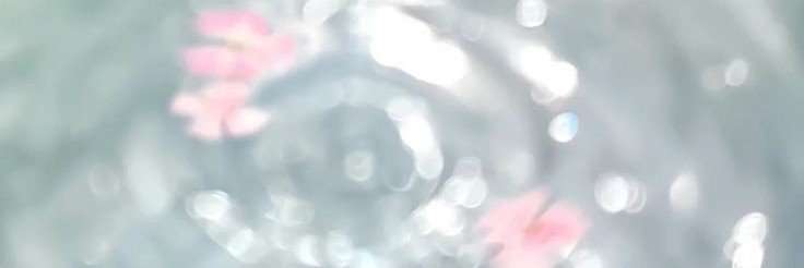 onewishkitten's profile banner image