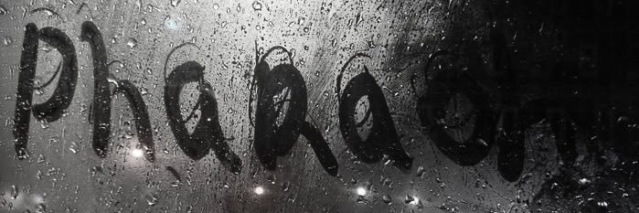 ms_mssl's profile banner image