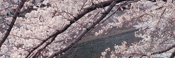 luvkittyk1tty's profile banner image