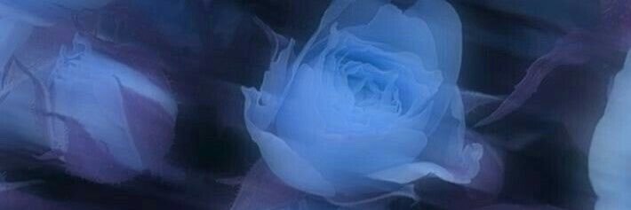 ibu_ki_0807's profile banner image