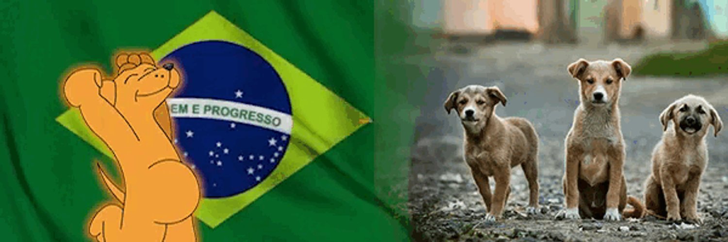 Caramelo_onSol's profile banner image