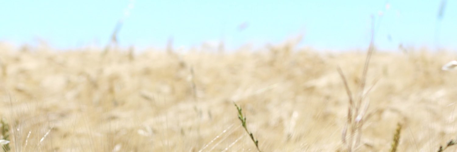 Federico_R_'s profile banner image