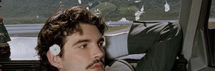 leesolily's profile banner image