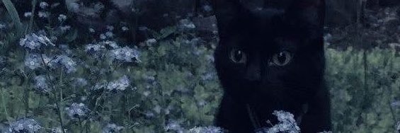 aubreysnotsorry's profile banner image