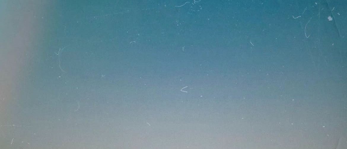 petalverse00's profile banner image