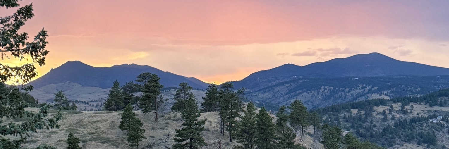 DanicusRexx's profile banner image