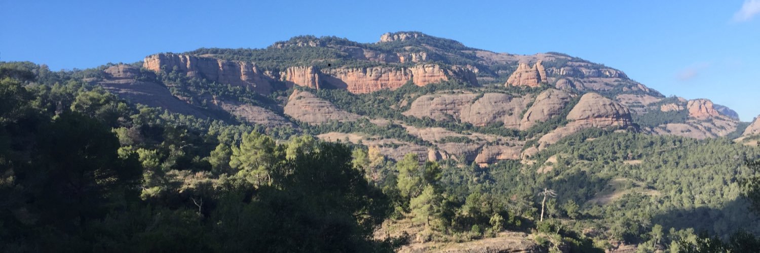 Populares Castellar banner