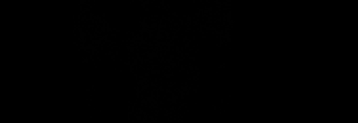 novinvst17's profile banner image
