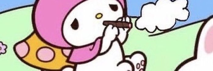 tinguiicolacha's profile banner image