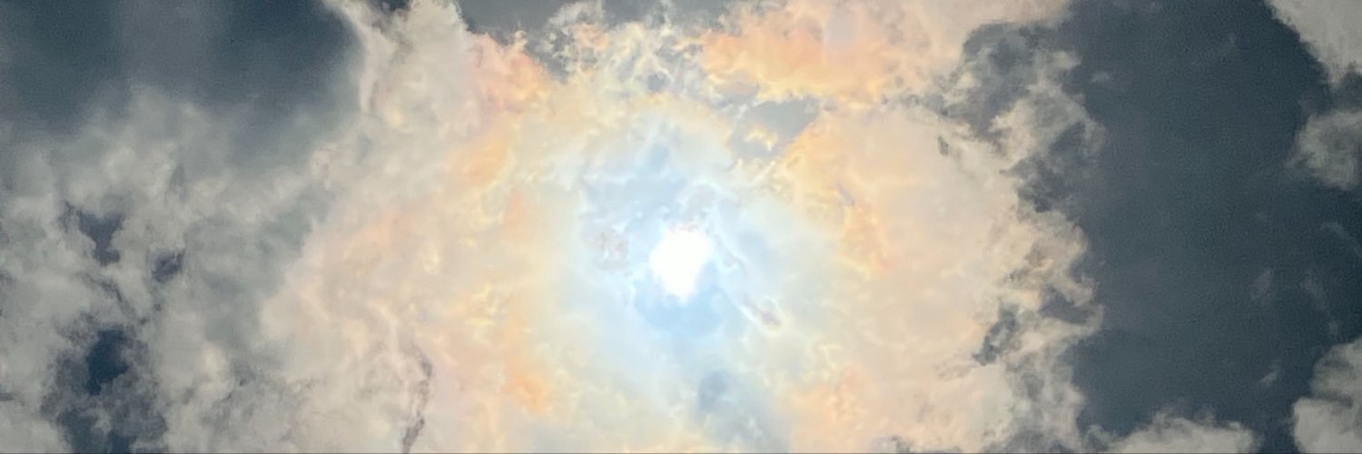 rayshauss's profile banner image