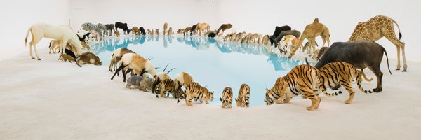 bubblejam Profile Banner