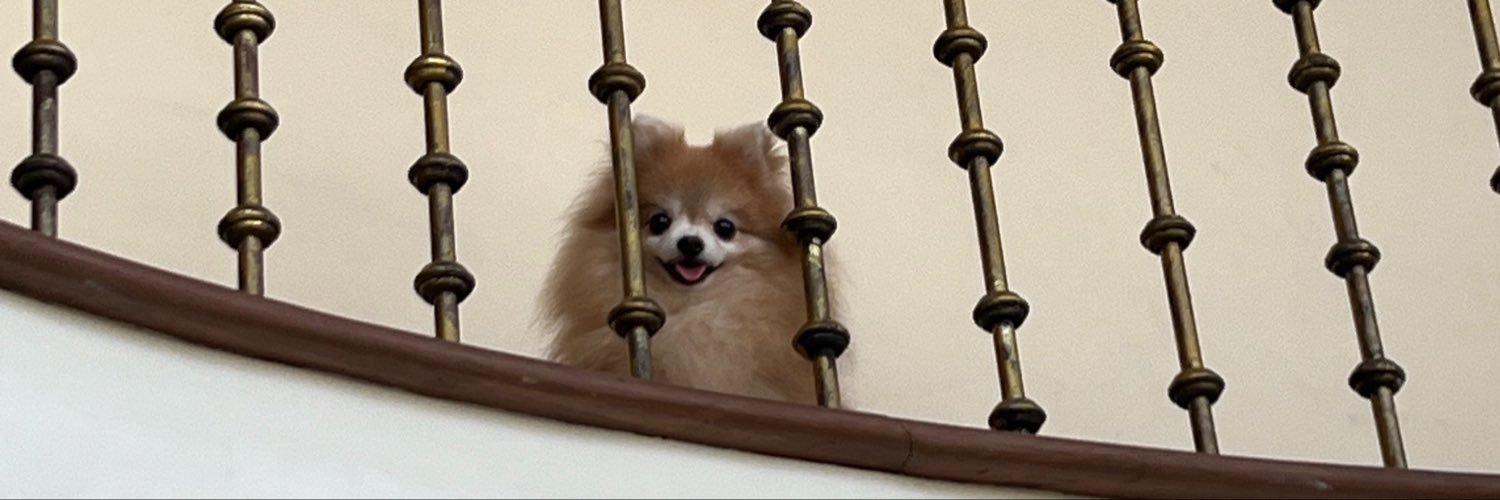 dvnaykay's profile banner image