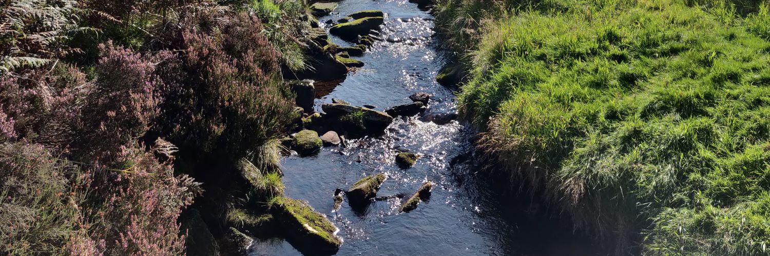 Roger G Taylor banner