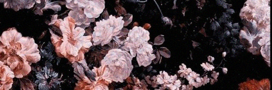 PenelopeReplsn's profile banner image
