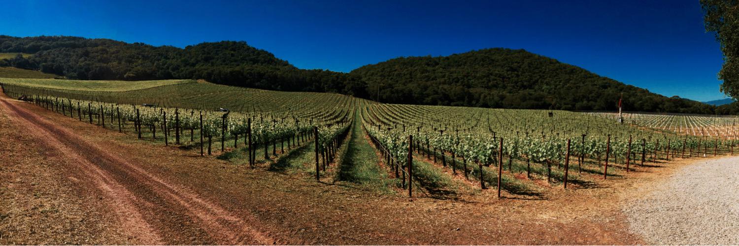 Ericsviptours's profile banner image