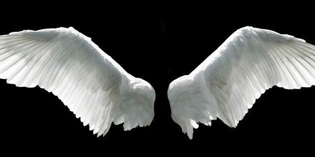 doueladly's profile banner image