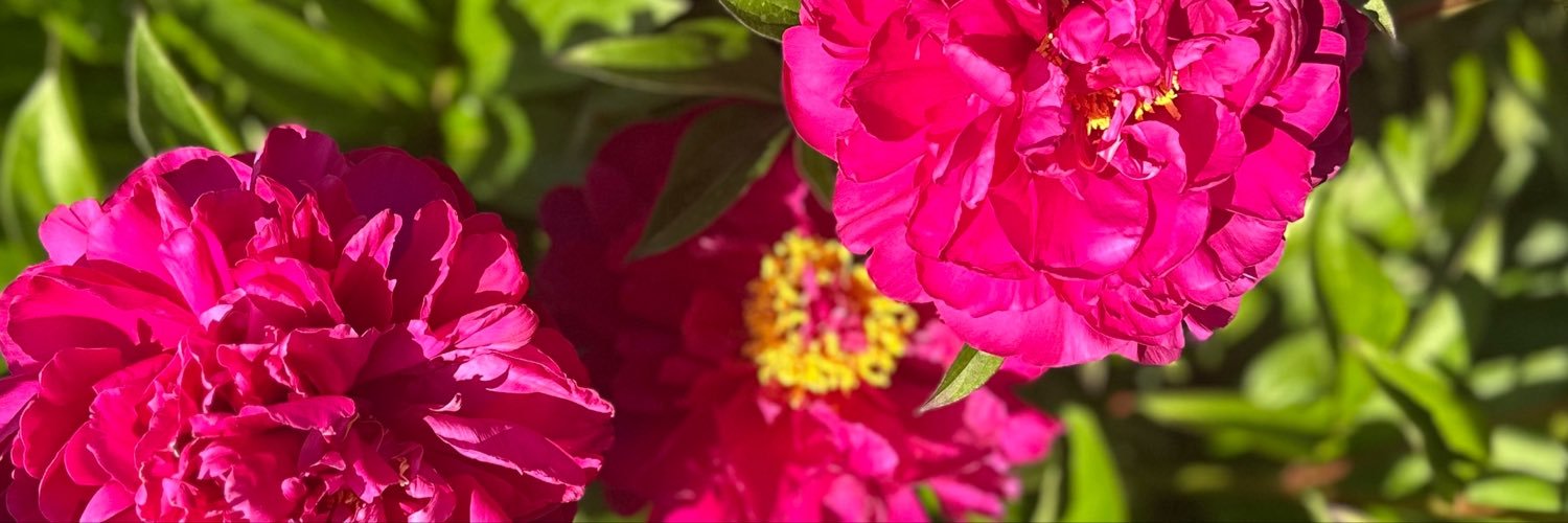 Amberhunbun_2's profile banner image