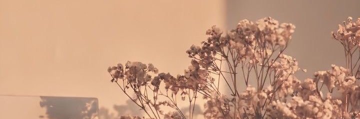 ale_muf's profile banner image