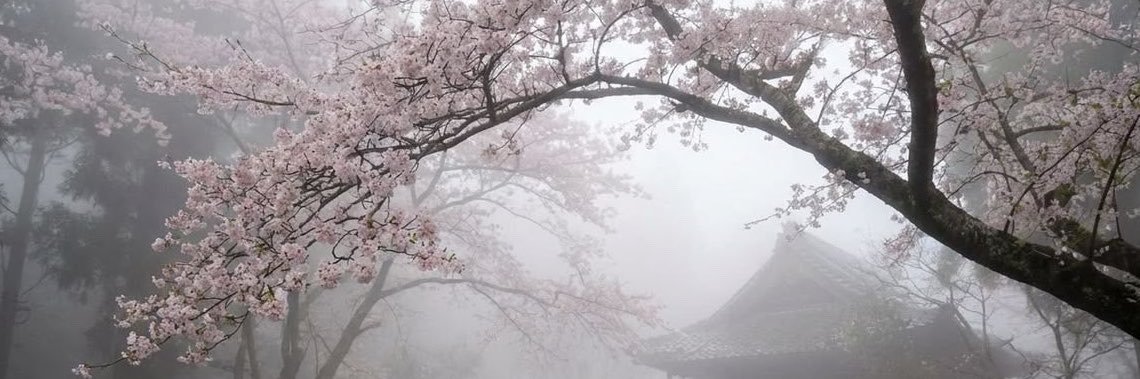 Kayusha333's profile banner image