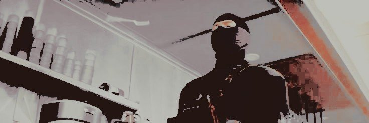 sincerelaylas's profile banner image