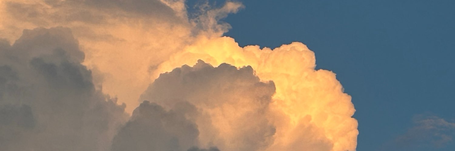 Annnya1505's profile banner image
